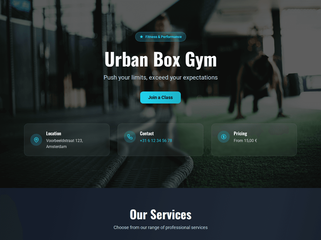 Iron Temple demo website